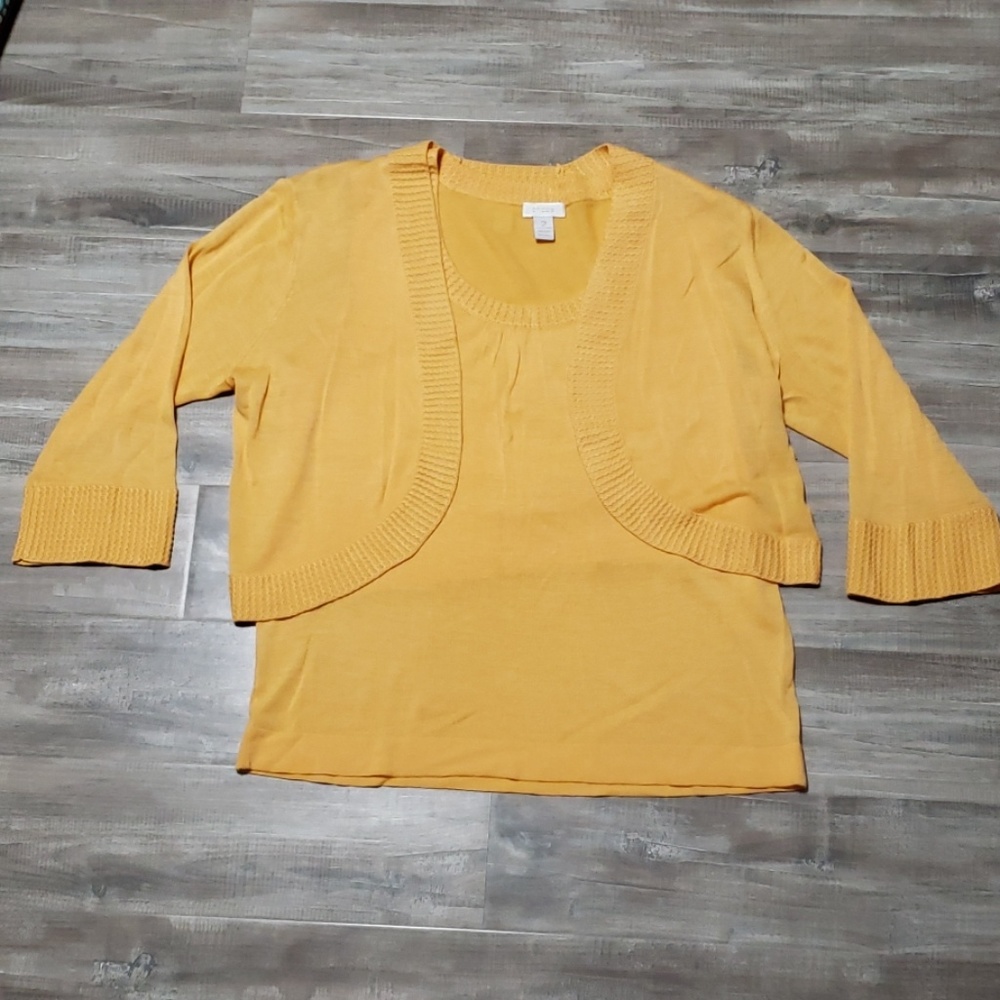 Chico's 2 PC sweater and sleeveless sweater.